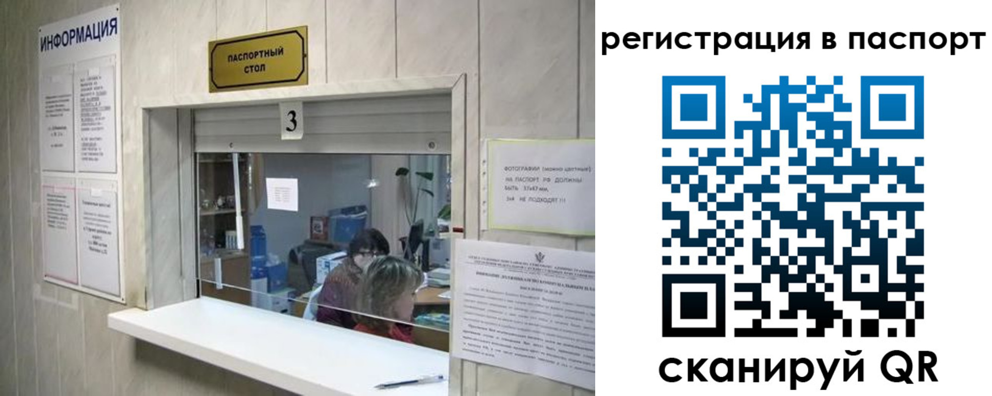 прописка поиск в Лыткарино
